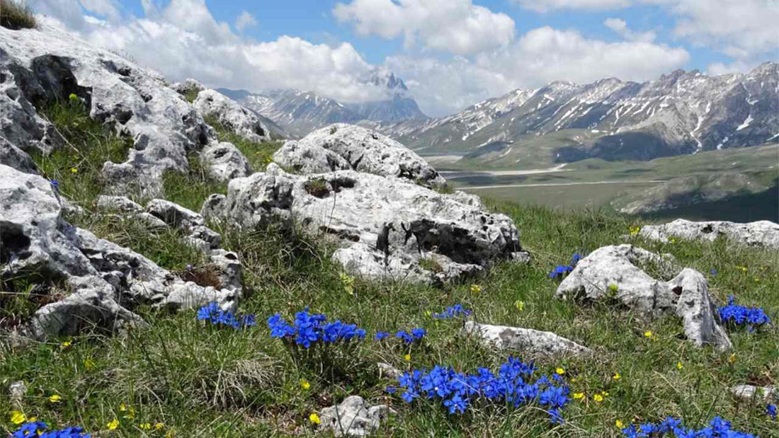 Abruzzo: cosa visitare